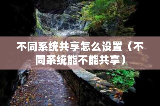 不同系统共享怎么设置（不同系统能不能共享）