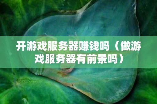 开游戏服务器赚钱吗（做游戏服务器有前景吗）