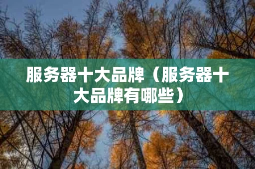 服务器十大品牌（服务器十大品牌有哪些）