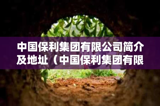 中国保利集团有限公司简介及地址（中国保利集团有限公司简介及地址图片）