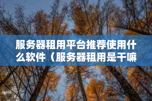 服务器租用平台推荐使用什么软件（服务器租用是干嘛的）