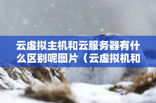 云虚拟主机和云服务器有什么区别呢图片（云虚拟机和云服务器有什么区别?）