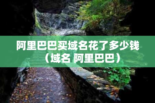 阿里巴巴买域名花了多少钱（域名 阿里巴巴）
