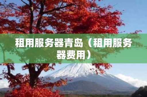 租用服务器青岛（租用服务器费用）