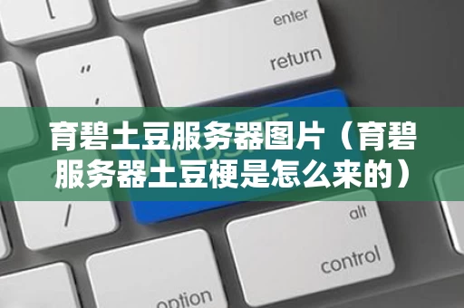 育碧土豆服务器图片（育碧服务器土豆梗是怎么来的）