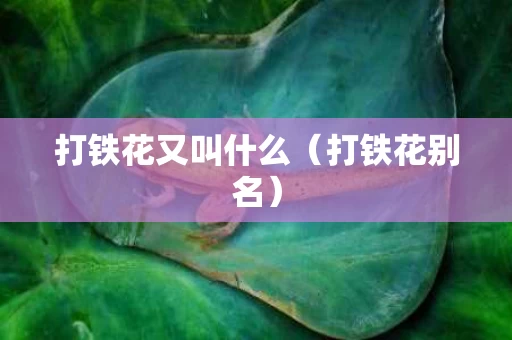 打铁花又叫什么（打铁花别名）