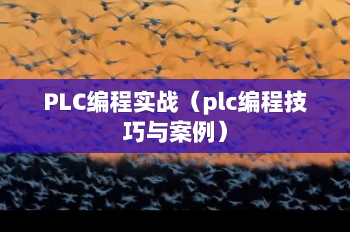 PLC编程实战（plc编程技巧与案例）