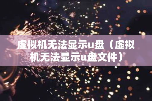 虚拟机无法显示u盘（虚拟机无法显示u盘文件）