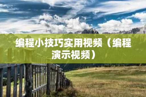 编程小技巧实用视频（编程演示视频）