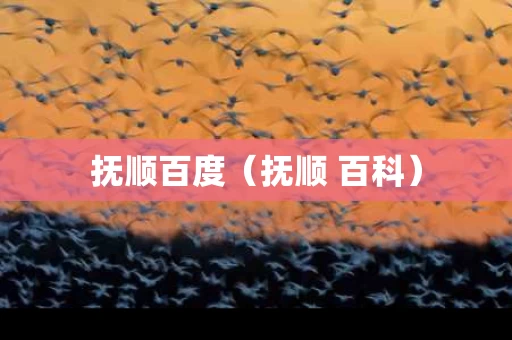 抚顺百度（抚顺 百科）