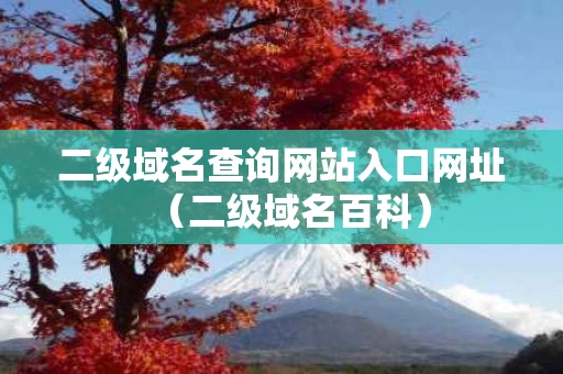 二级域名查询网站入口网址（二级域名百科）