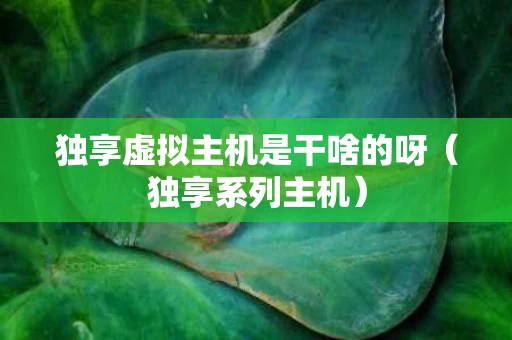 独享虚拟主机是干啥的呀（独享系列主机）