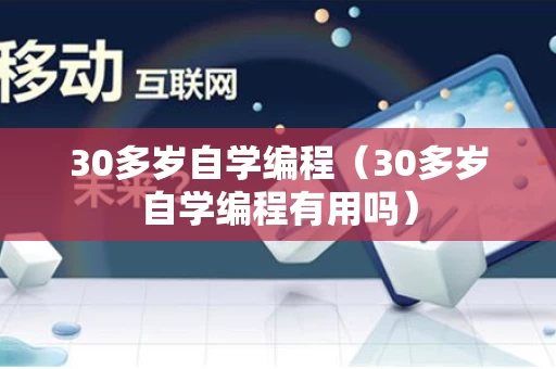 30多岁自学编程（30多岁自学编程有用吗）