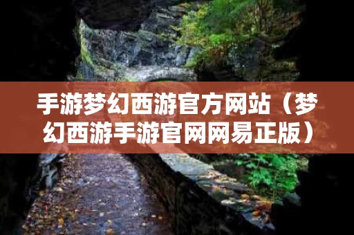 手游梦幻西游官方网站（梦幻西游手游官网网易正版）
