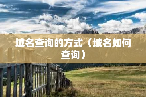 域名查询的方式（域名如何查询）