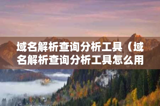 域名解析查询分析工具（域名解析查询分析工具怎么用）