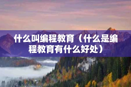 什么叫编程教育（什么是编程教育有什么好处）