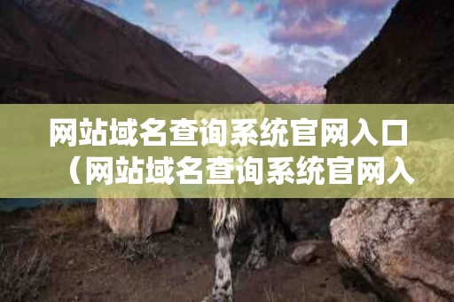 网站域名查询系统官网入口（网站域名查询系统官网入口手机版）