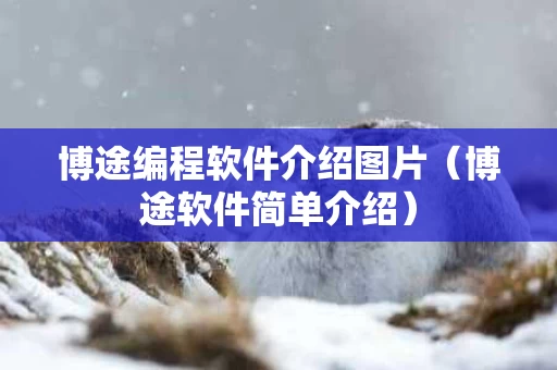博途编程软件介绍图片（博途软件简单介绍）
