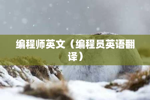 编程师英文（编程员英语翻译）