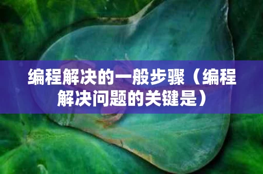 编程解决的一般步骤（编程解决问题的关键是）