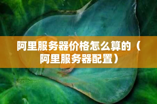 阿里服务器价格怎么算的（阿里服务器配置）