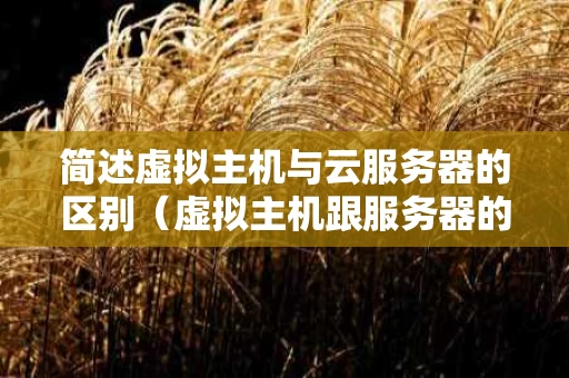 简述虚拟主机与云服务器的区别（虚拟主机跟服务器的区别）
