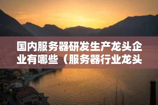 国内服务器研发生产龙头企业有哪些（服务器行业龙头股）
