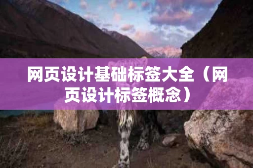 网页设计基础标签大全（网页设计标签概念）