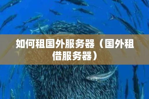 如何租国外服务器（国外租借服务器）