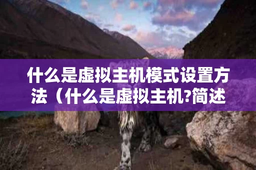 什么是虚拟主机模式设置方法（什么是虚拟主机?简述虚拟主机网站建设的几个步骤）