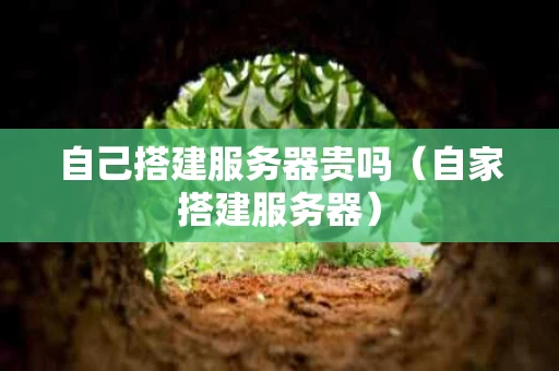 自己搭建服务器贵吗（自家搭建服务器）