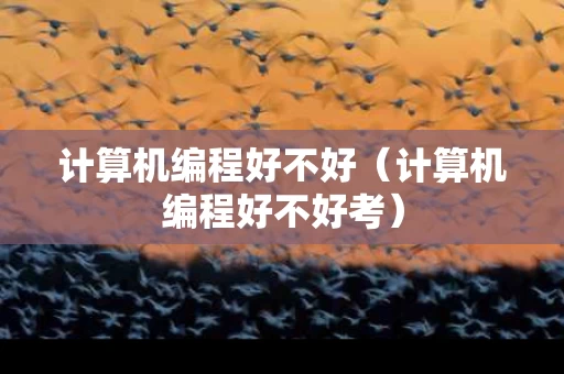 计算机编程好不好（计算机编程好不好考）