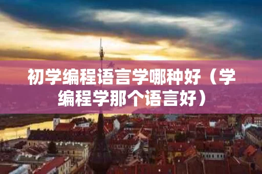 初学编程语言学哪种好（学编程学那个语言好）