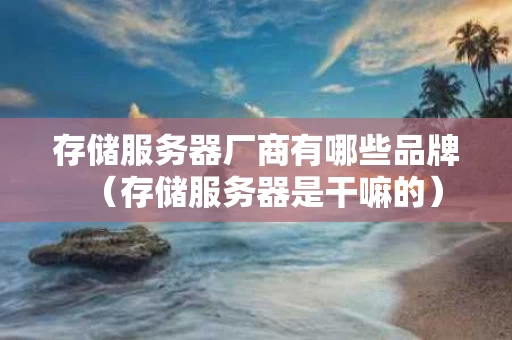 存储服务器厂商有哪些品牌（存储服务器是干嘛的）