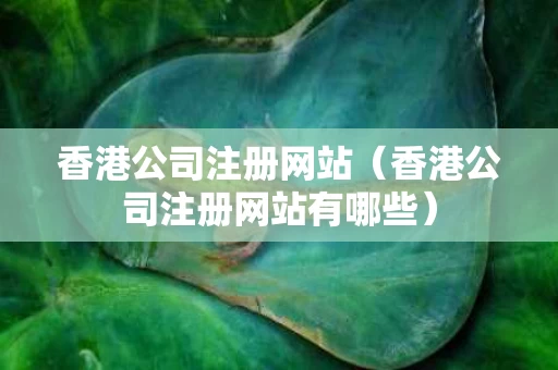 香港公司注册网站（香港公司注册网站有哪些）