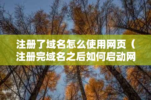 注册了域名怎么使用网页（注册完域名之后如何启动网站）