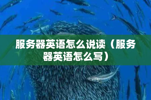 服务器英语怎么说读（服务器英语怎么写）