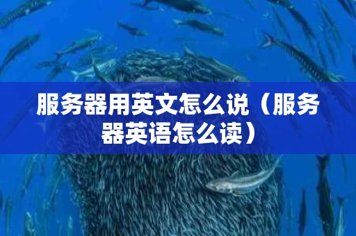 服务器用英文怎么说（服务器英语怎么读）