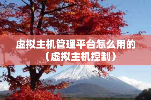 虚拟主机管理平台怎么用的（虚拟主机控制）