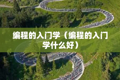 编程的入门学（编程的入门学什么好）