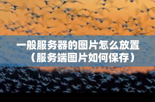 一般服务器的图片怎么放置（服务端图片如何保存）