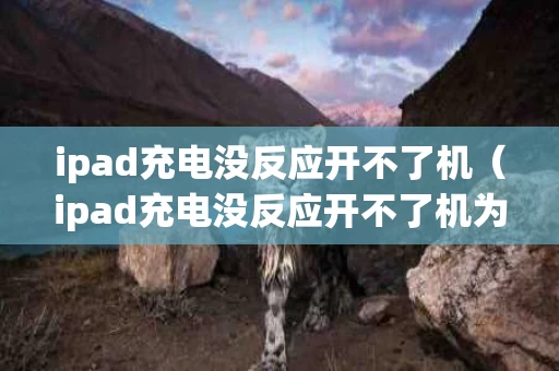 ipad充电没反应开不了机（ipad充电没反应开不了机为什么）
