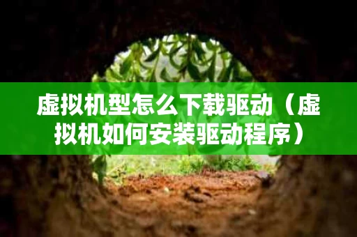 虚拟机型怎么下载驱动（虚拟机如何安装驱动程序）