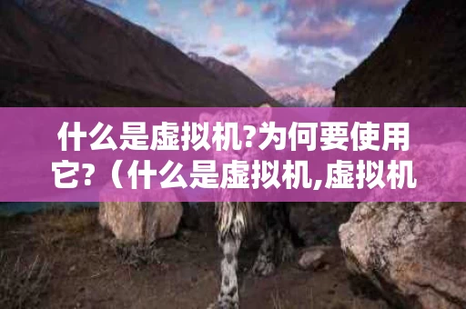什么是虚拟机?为何要使用它?（什么是虚拟机,虚拟机有哪些优点?）