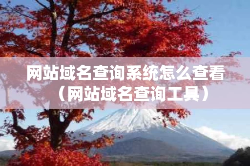 网站域名查询系统怎么查看（网站域名查询工具）