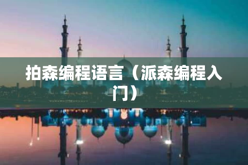 拍森编程语言（派森编程入门）