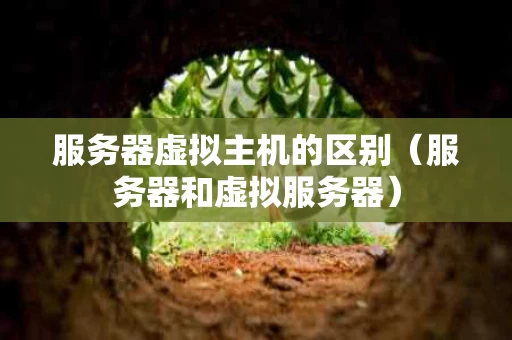 服务器虚拟主机的区别（服务器和虚拟服务器）