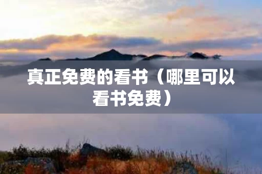 真正免费的看书（哪里可以看书免费）