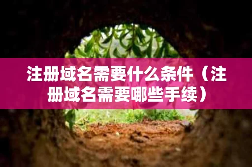 注册域名需要什么条件（注册域名需要哪些手续）